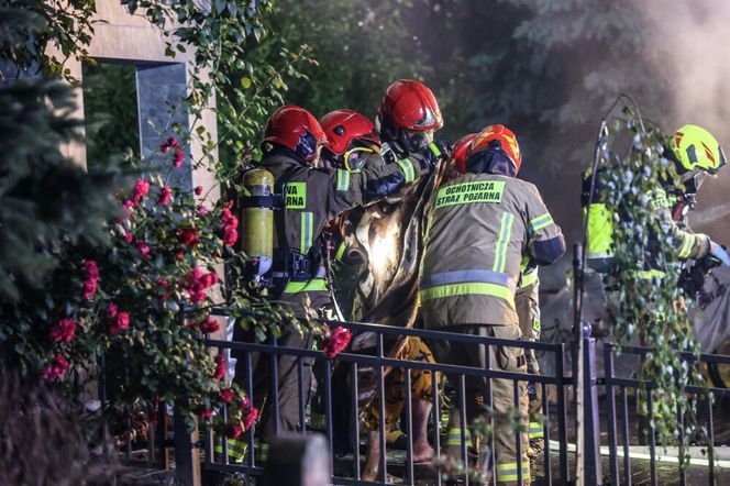14-latka zginęła w pożarze bloku w Rzeszowie! Poszkodowanych zostało wiele osób [ZDJĘCIA, AKTUALIZACJA]