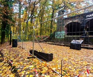 Porządkowanie terenu wokół wieży Quistorpa