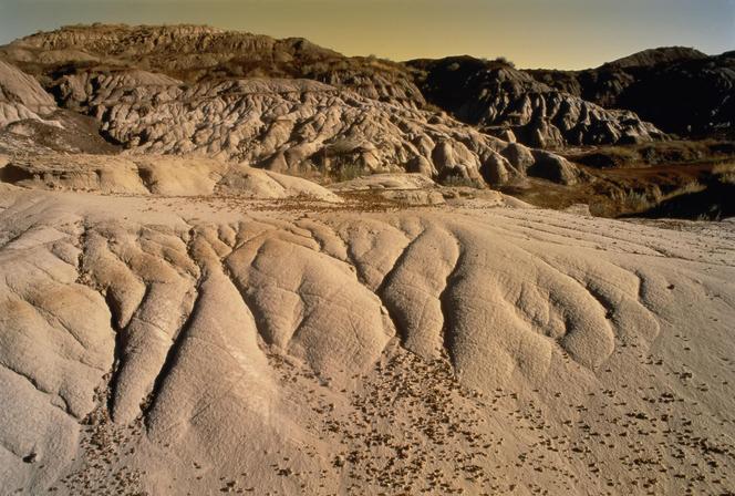 Drumheller, Kanada