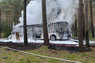 Pożar autobusu z przedszkolakami w Wielkopolsce! W pojeździe było 44 dzieci i 5 opiekunów