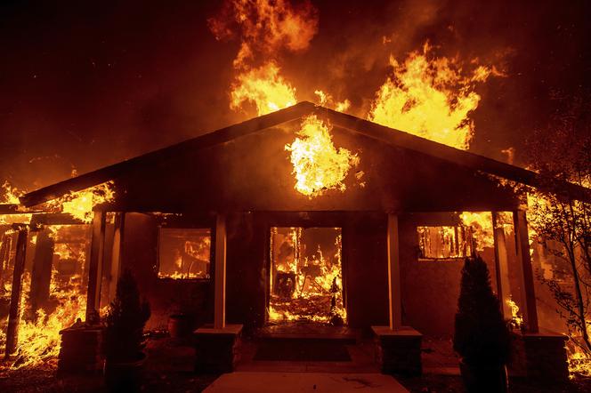83 ofiary pożarów w Kalifornii 
