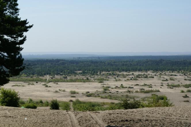 Pustynia Błędowska Cudem Małopolski 2023!