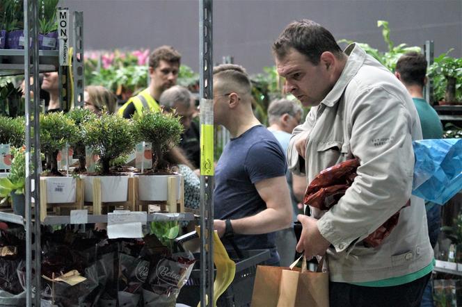 Bydgoski Festiwal Roślin 2023 przyciągnął tłumy [ZDJĘCIA]