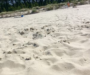 Plaża Karwia