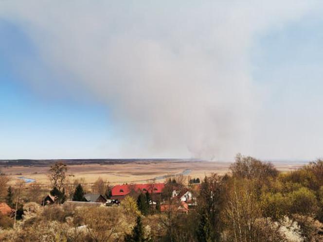 Pożar Biebrzańskiego Parku Narodowego. Zdjęcia Internautów