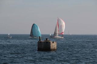 BlekitnaWstegaZatokiGdanskiej2015_FotMZwierz__7903