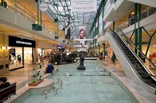 Zbliża się sesja! Gdzie się uczyć w ciszy i spokoju? Podpowiadamy 8 najlepszych miejsc! [PRZEGLĄD]