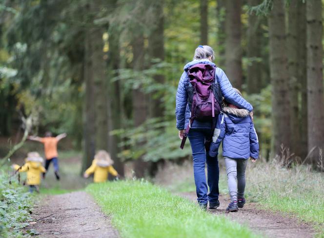 BIESZCZADY: Będzie jednym z pierwszych tego typu szlaków górskich w Polsce. Powstaje ścieżka turystyczna z audiodeskrypcją