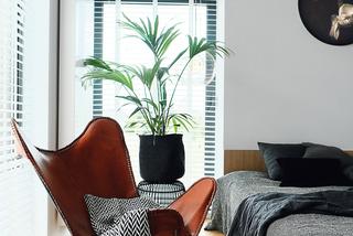 Mrowiec, Łomianki, Moomoo