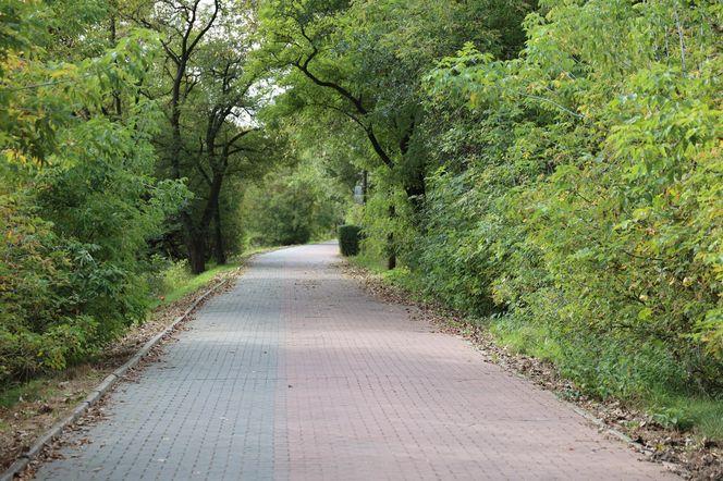 Jesienna odsłona terenów nad Bystrzycą w Lublinie. Tak się prezentuje w październiku