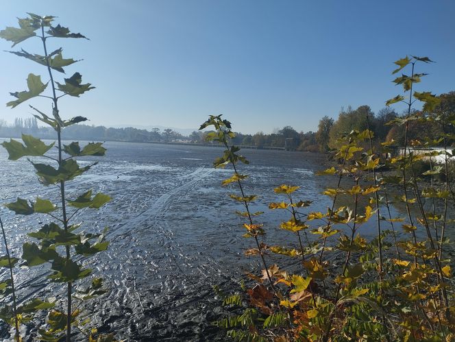 Zaginięcie Karoliny Wróbel. Wypompowano wodę ze zbiornika, a służby przeczesują dno