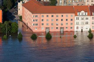 Gdzie w Warszawie doszłoby do zalania w razie powodzi? Powstała specjalna mapa