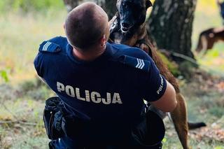 Trawka - nowy pies suwalskiej Policji