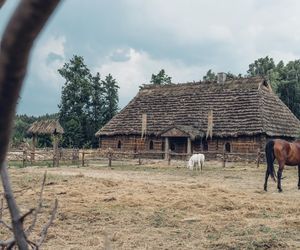 Oraz piękna, skąpana w słońcu Adamczycha.