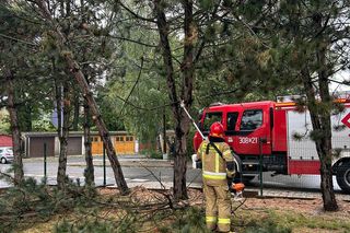 Bohaterscy strażacy z woj. łódzkiego. Sprawdź, ilu z nich ruszyło walczyć z powodzią 