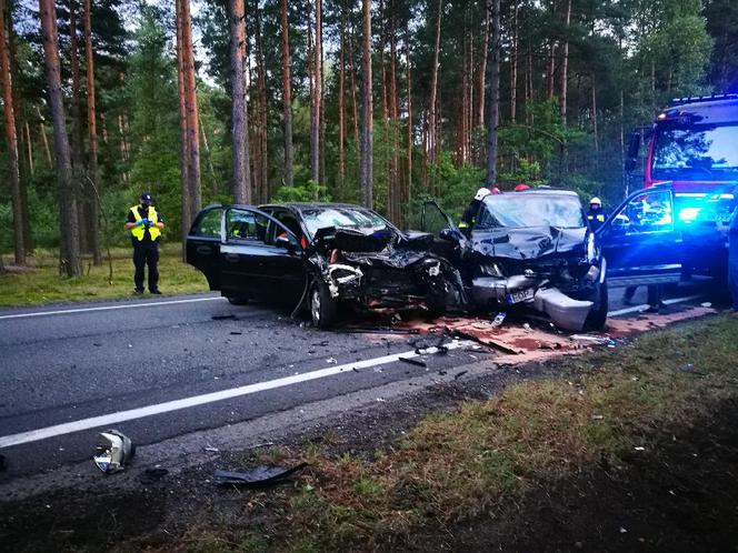 Potworny wypadek pod Opocznem, mogły zginąć dzieci