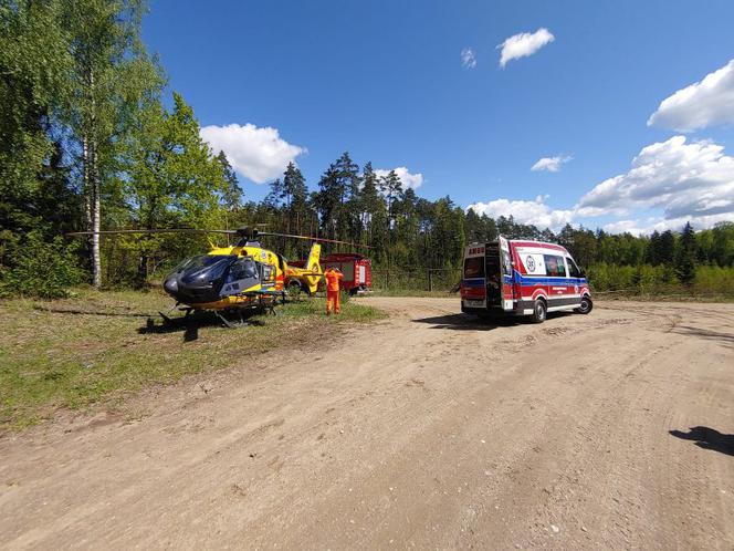 Tragiczny wypadek podczas prac leśnych w gminie Orzysz