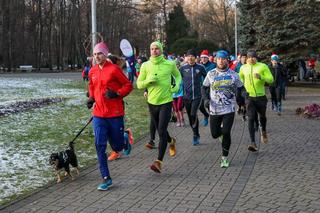 Parkrun Katowice w Parku Kościuszki