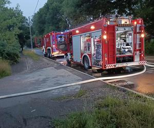 Sobotni pożar altany na ogródkach działkowych w Katowicach