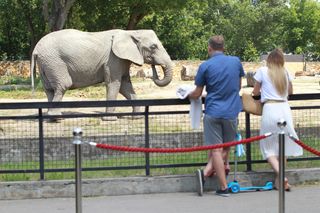 Niebezpieczne incydenty w warszawskim zoo. Ogród ma ważny apel 