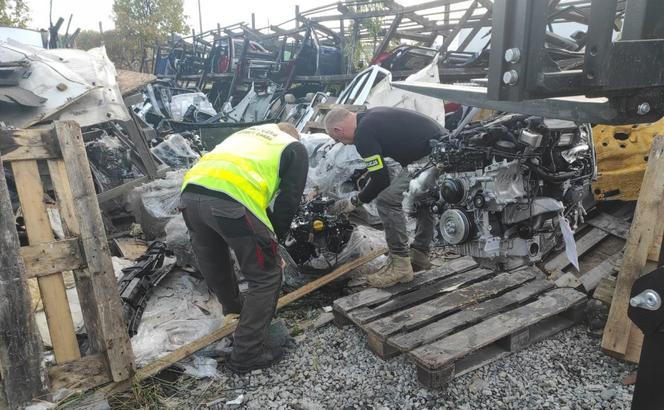 Ujawnili dziuple pełne kradzionych części! Wartość łupu to ponad 2 miliony