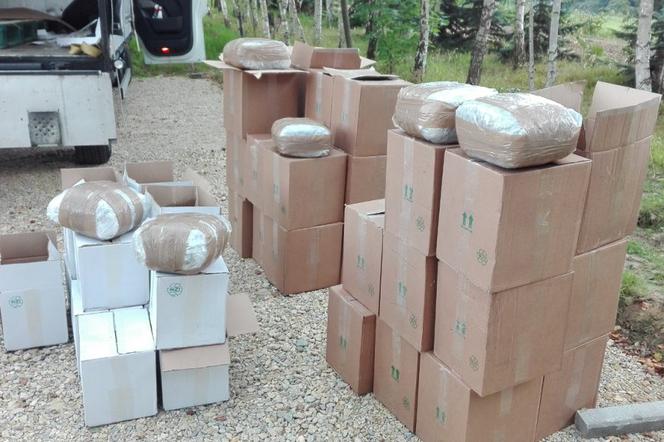 Przemycili 15 ton marihuany i sprzedali 300 kg amfetaminy. Zatrzymano grupę związaną ze środowiskiem pseudokibiców [ZDJĘCIA]