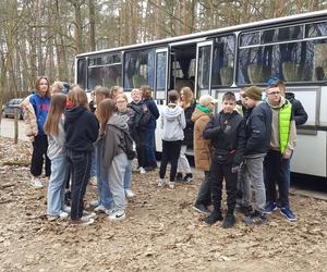 Posadzili kawałek lasu w miejscu wyciętego