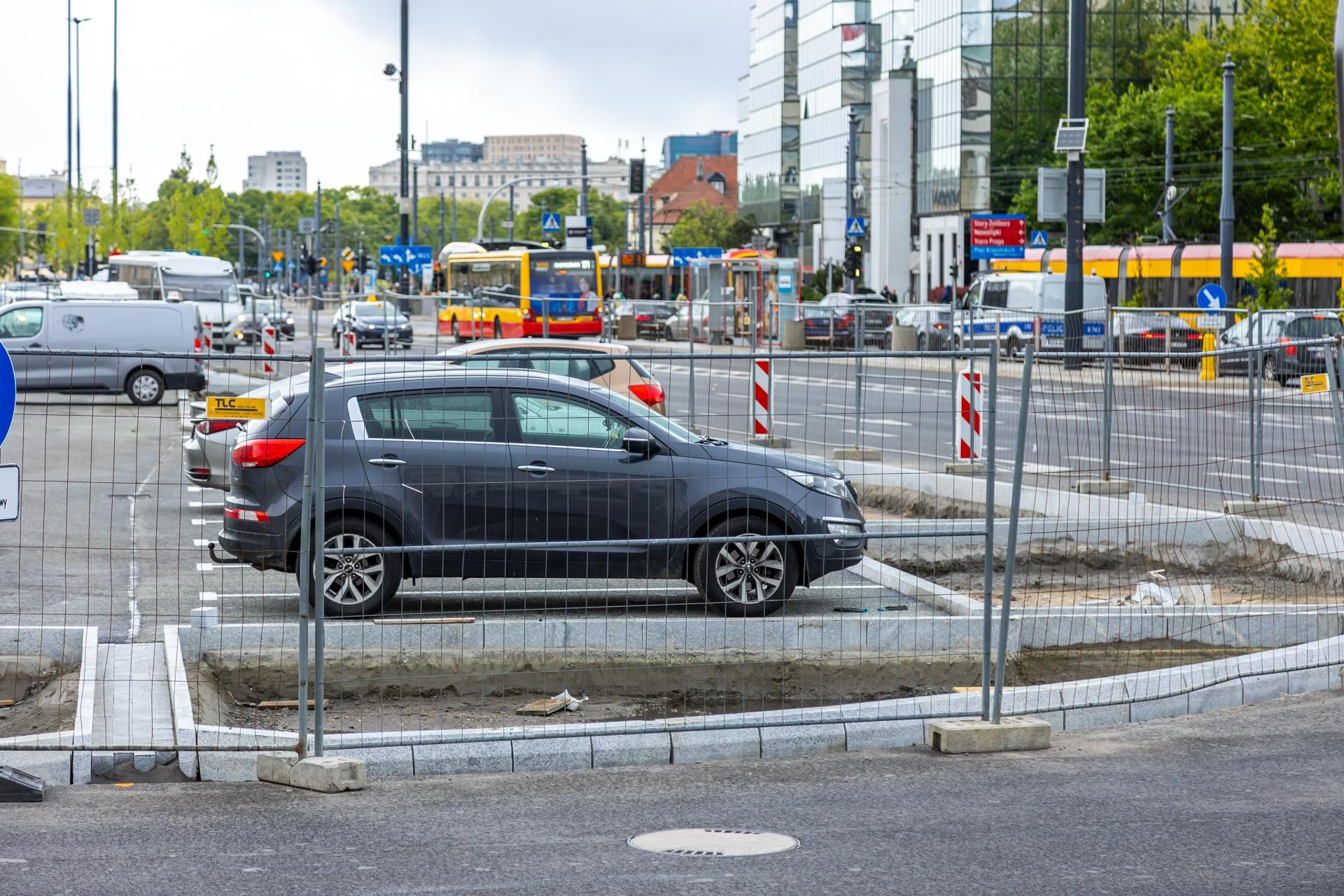 Sadzenie zieleni na placu Bankowym w maju 2025 r.