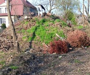 Kociak Kubuś uratowany przez KOTełkową Drużynę z Bielska-Białej