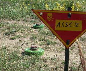 Minowy dylemat Niemiec. Czy Berlin porzuci traktat ottawski?