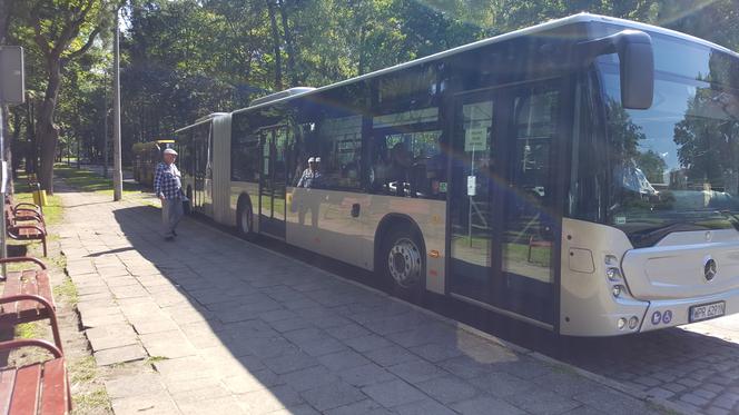 Pierwszy kurs autobusu przegubowego w Grudziądzu