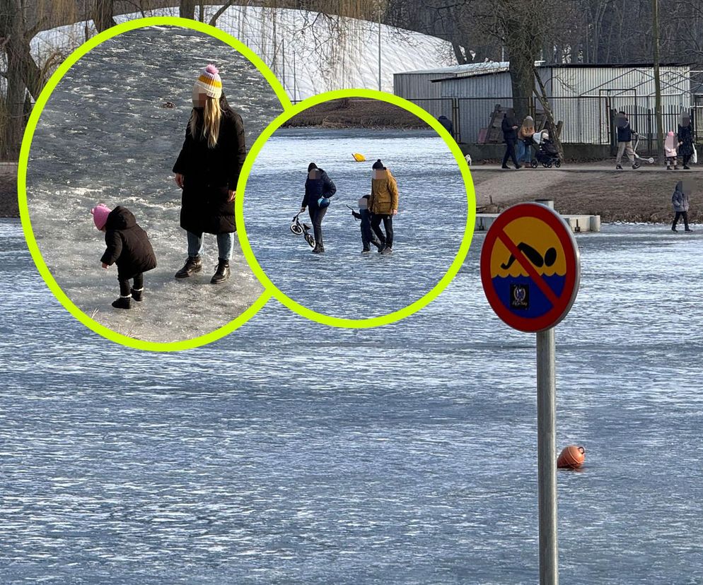 Totalna bezmyślność! Wchodzą na lód z dziećmi i psami przy +7 stopniach! Ekspert grzmi