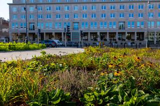 Plac Trzech Krzyży w Warszawie po modernizacji, listopad 2023