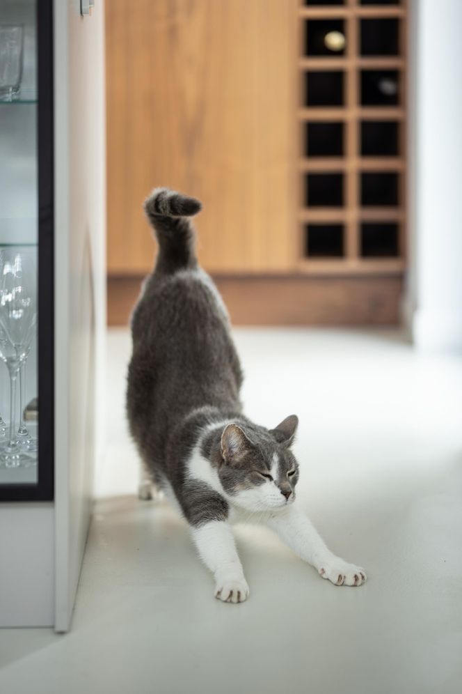 Minimalistyczne wnętrze KODO