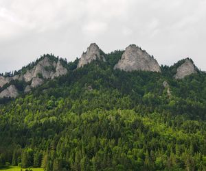 Pieniny Spiskie. Jedna z najmniej znanych część Małopolski kryje niezwykłą historię
