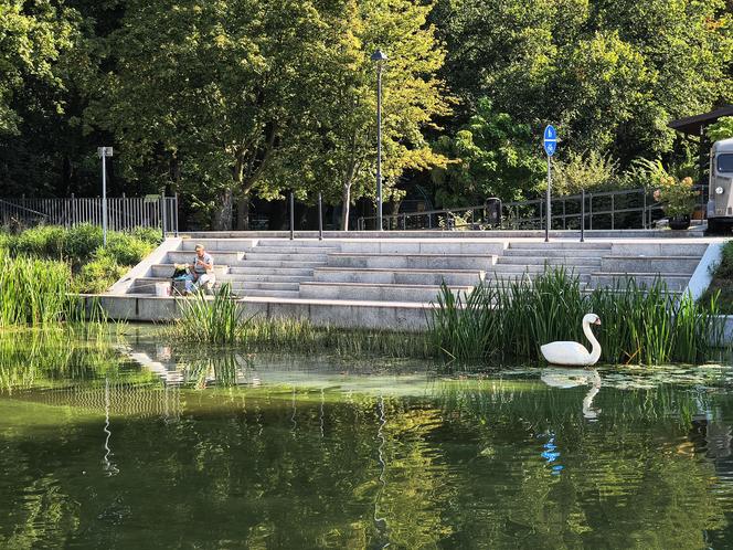 Styropianowy łabędź na Prośnie w Kaliszu