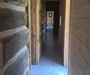 Remont chyży łemkowskiej w Hańczowej