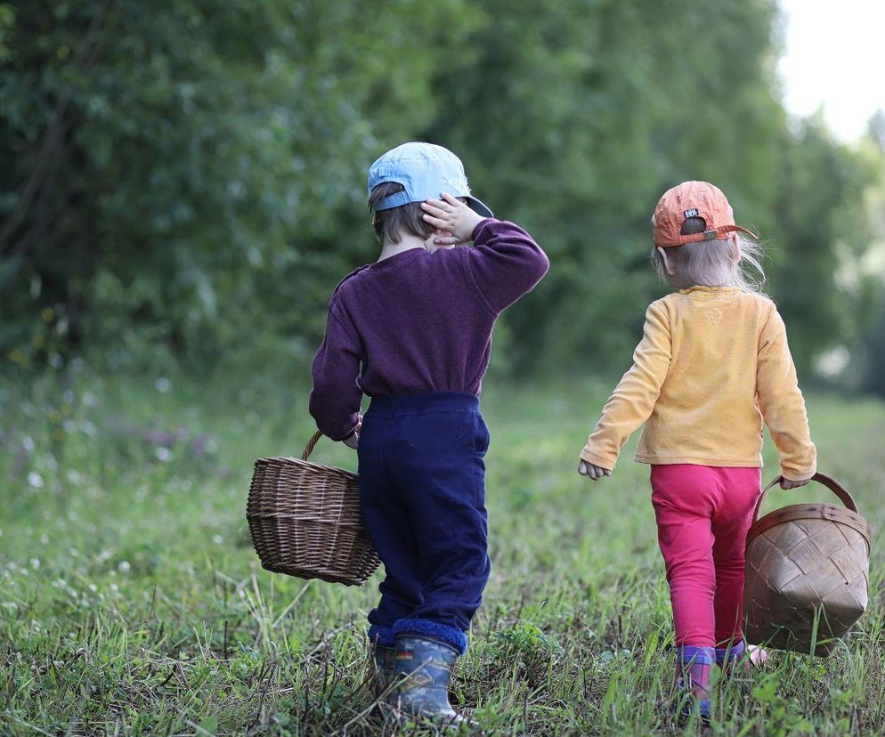 Planujesz rodzinne grzybobranie? GIS podpowiada: Po spacerze zmień ubranie