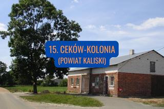 15. Gmina Ceków-Kolonia