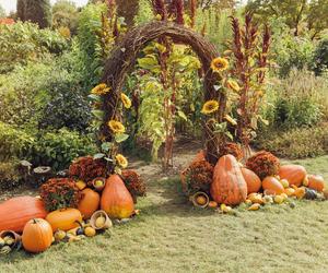 Jesienna dekoracja ogrodu