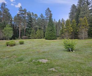 Kopna Góra