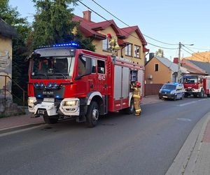 Iłżecka Starachowice 20.06.25