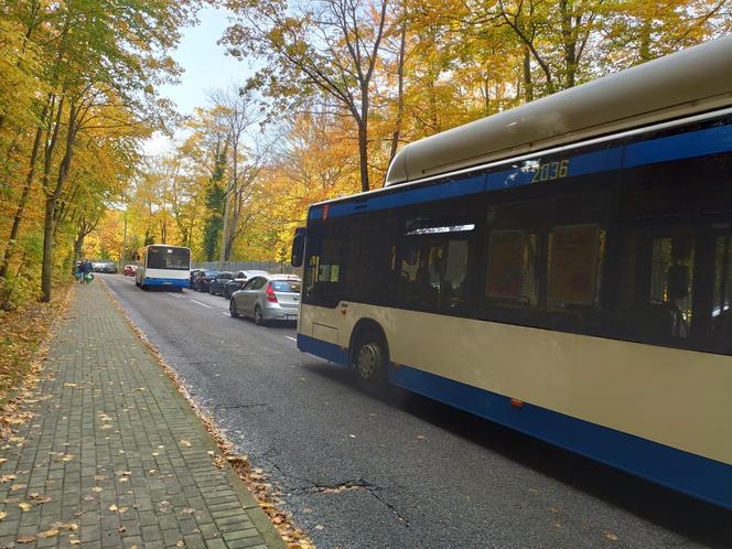 Wszystkich Świętych w Trójmieście. Zmiany w komunikacji