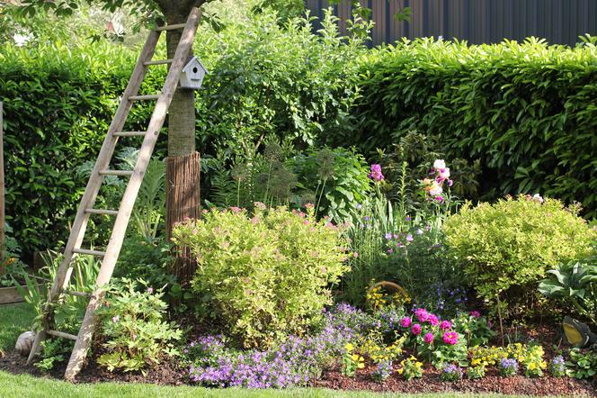 Domowy ogród solarny - Jak chronić rośliny przed szkodnikami i chorobami?