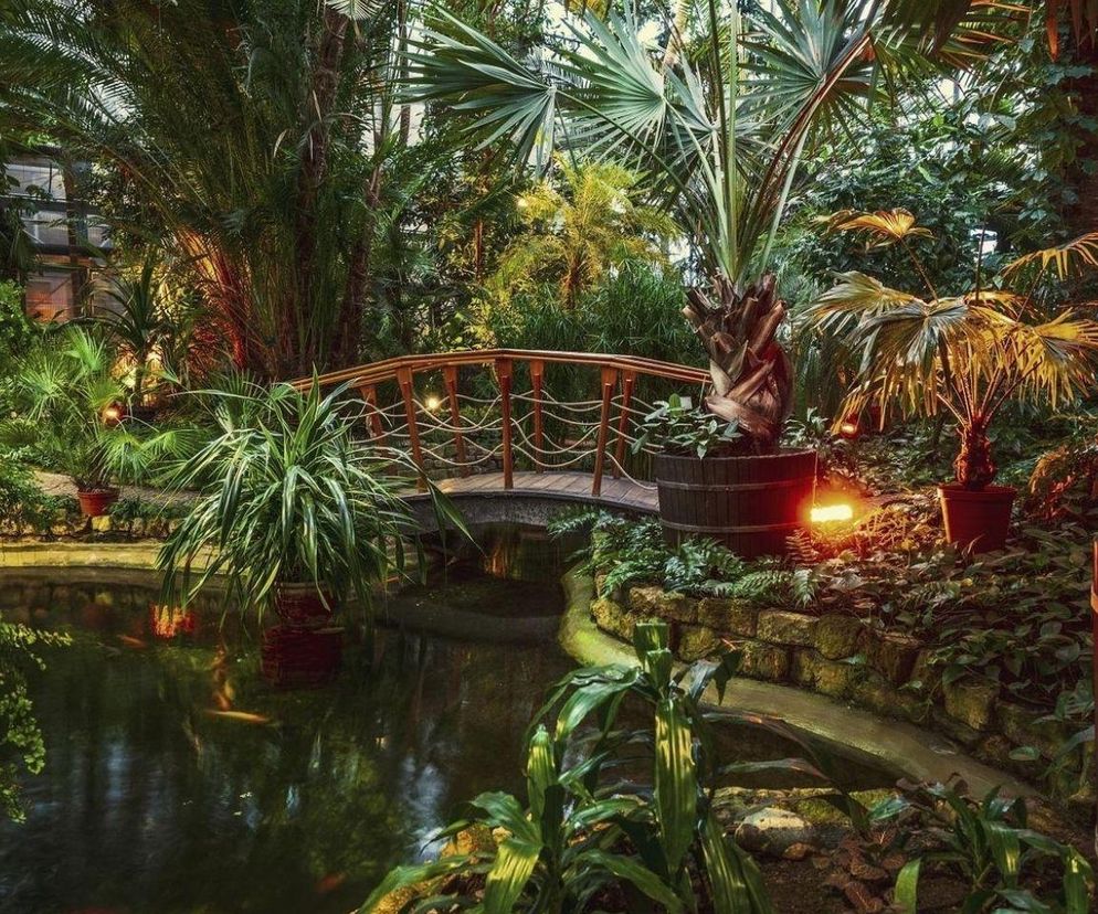 Śląsk na niepogodę. Tu zabierzesz całą rodzinę i będziecie się świetnie bawić!