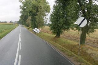 Ludów Polski - samochód wjechał do rowu