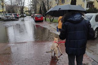Deszcz ze śniegiem i zgrzytanie z zimna to nie wszystko. IMGW ostrzegł w prognozach