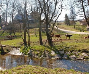 To dawna wieś królewska w Małopolsce. Mieszkał w niej święty męczennik