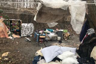 W krzakach pod blokiem na wrocławskim Gaju osiedliła się para bezdomnych!