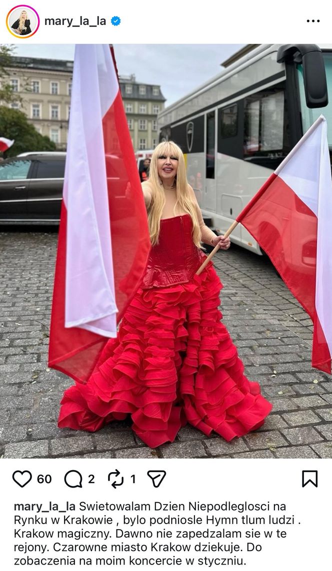 Patriotyczne wpisy gwiazd! Tak 11 listopada uczcili polską wolność